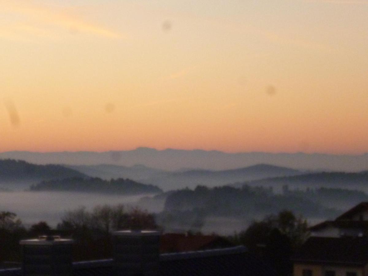 Ferienwohnungen Alpenblick Mit Garten -Panoramasauna- Kirchdorf im Wald Екстер'єр фото
